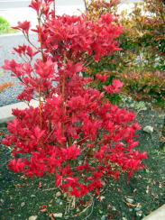 ○○○○○○○○イメージ